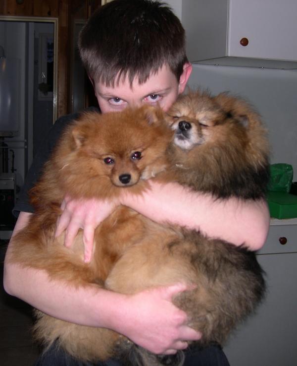 J&eacute;r&eacute;my et ses spitz
